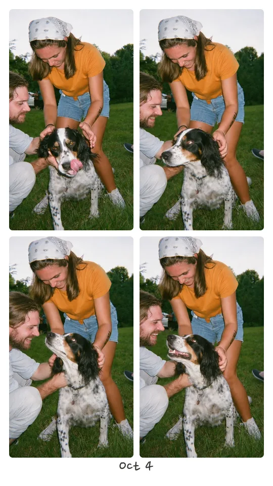 A strip of 4 photos: two friends petting a dog on the grass